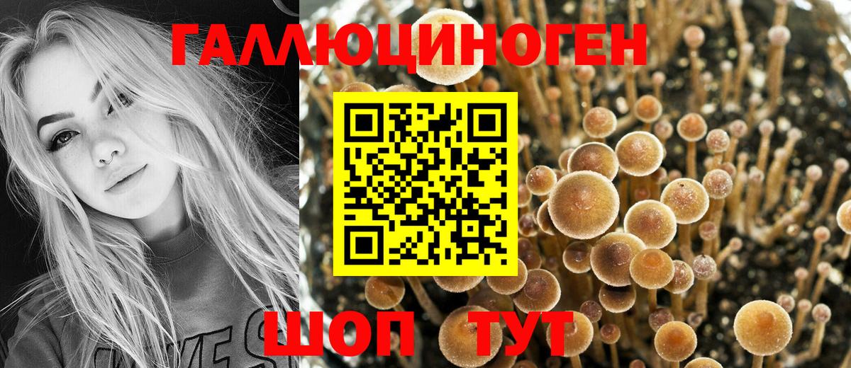 Богородицк  Псилоцибиновые грибы мицелий  Псилоцибиновые грибы прущие грибы  Вход с VPN 